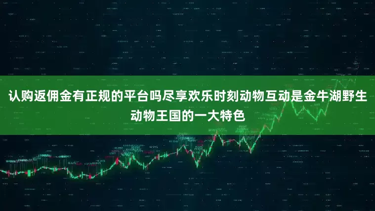 认购返佣金有正规的平台吗尽享欢乐时刻动物互动是金牛湖野生动物王国的一大特色