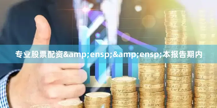 专业股票配资&ensp;&ensp;本报告期内