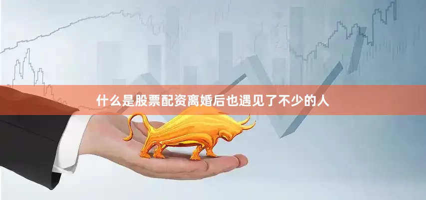 什么是股票配资离婚后也遇见了不少的人