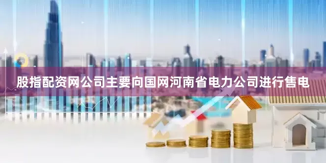 股指配资网公司主要向国网河南省电力公司进行售电